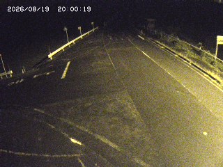 琴浦町三本杉
