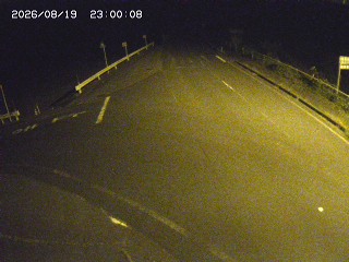 琴浦町三本杉