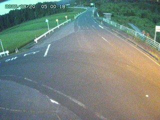琴浦町三本杉