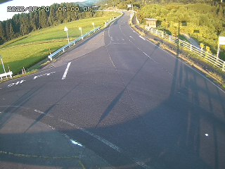 琴浦町三本杉
