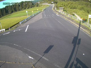 琴浦町三本杉