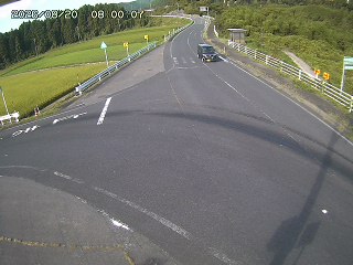 琴浦町三本杉