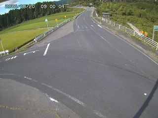 琴浦町三本杉
