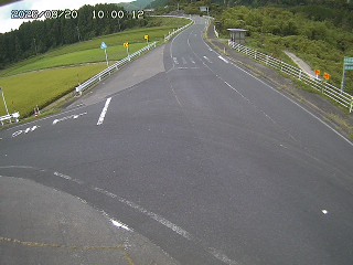 琴浦町三本杉