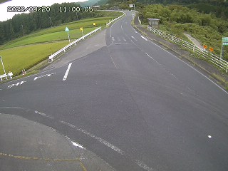琴浦町三本杉