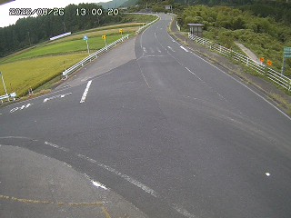 琴浦町三本杉
