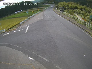 琴浦町三本杉