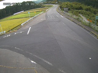 琴浦町三本杉