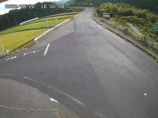琴浦町三本杉