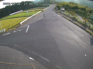 琴浦町三本杉