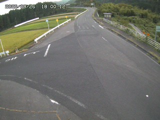 琴浦町三本杉