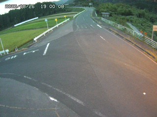 琴浦町三本杉