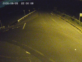琴浦町三本杉