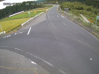 琴浦町三本杉