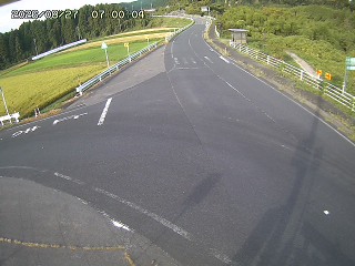 琴浦町三本杉