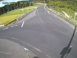 琴浦町三本杉