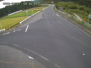 琴浦町三本杉