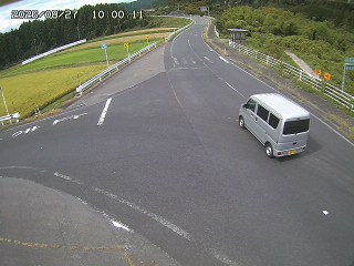 琴浦町三本杉