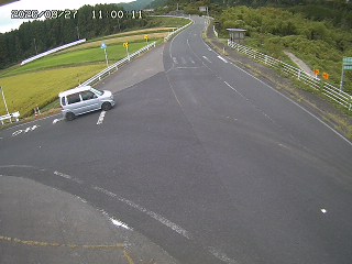 琴浦町三本杉