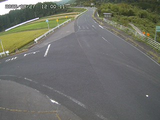 琴浦町三本杉