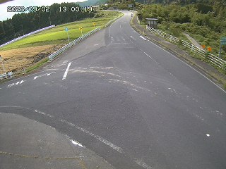 琴浦町三本杉
