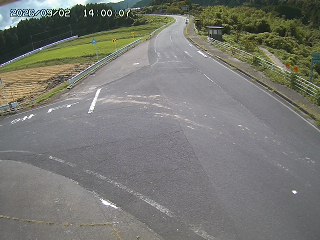琴浦町三本杉