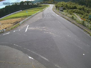 琴浦町三本杉