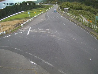 琴浦町三本杉