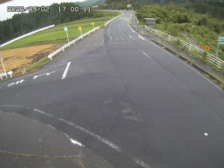 琴浦町三本杉