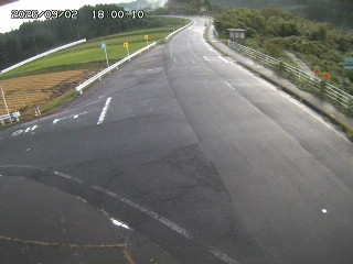 琴浦町三本杉