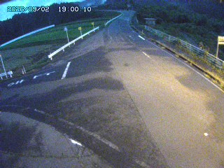琴浦町三本杉