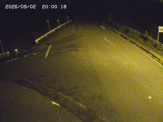 琴浦町三本杉