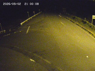 琴浦町三本杉