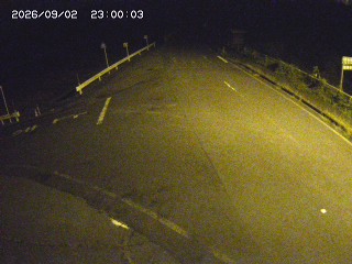 琴浦町三本杉