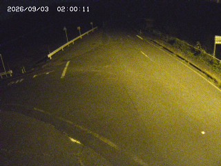 琴浦町三本杉
