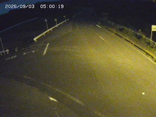 琴浦町三本杉