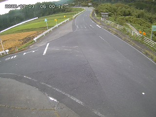 琴浦町三本杉