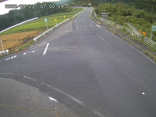 琴浦町三本杉