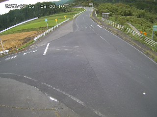 琴浦町三本杉