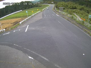 琴浦町三本杉