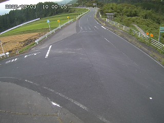 琴浦町三本杉