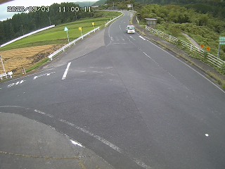 琴浦町三本杉