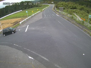 琴浦町三本杉