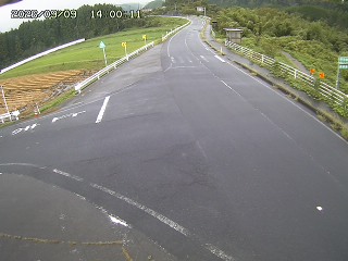 琴浦町三本杉