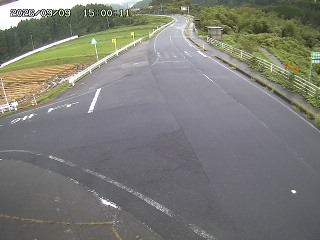 琴浦町三本杉