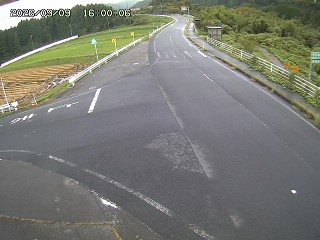 琴浦町三本杉
