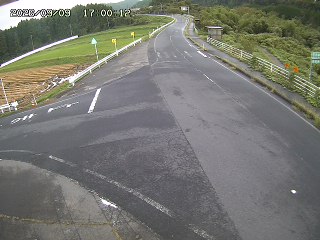 琴浦町三本杉