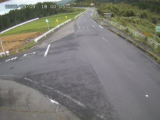 琴浦町三本杉