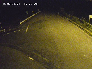 琴浦町三本杉