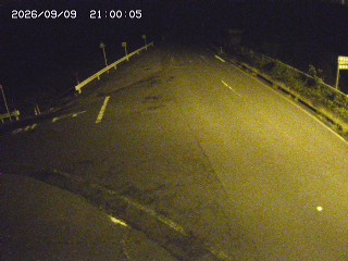 琴浦町三本杉